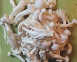 ヘルシー ‘‘豚肉のトマト煮’’作り方4写真