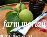 ムメフラールでツヤ肌に♪焼き梅干し作り方11写真
