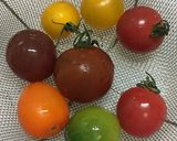 発芽豆とミニトマトのサラダ 作り方4写真