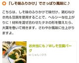 お弁当にも♪Ｗしそ豆腐バーグ作り方6写真