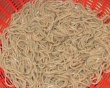 塩レモンで☆豆腐そばサラダ♪作り方5写真