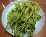 マタタビの芽、人参、ベーコン等の油炒め作り方2写真