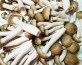 市販ルウで簡単!キャベツの和風カレー作り方4写真