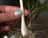 ピクルド★島らっきょう(酢漬け)作り方1写真