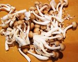 黄金色?摘果(子)メロンと鶏肉のトマト煮作り方6写真