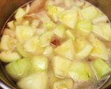 黄金色?摘果(子)メロンと鶏肉のトマト煮作り方9写真
