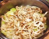 黄金色?摘果(子)メロンと鶏肉のトマト煮作り方10写真