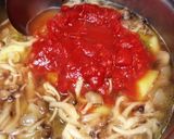 黄金色?摘果(子)メロンと鶏肉のトマト煮作り方11写真