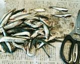 平子イワシのオイル煮作り方1写真