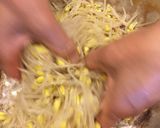 もやしのナムル作り方2写真