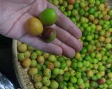 ウイスキーで小梅の梅酒作り方1写真