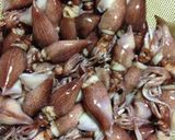 ホタルイカの炊き込み飯作り方1写真