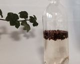 【万能中華調味料】山椒酒作り方3写真