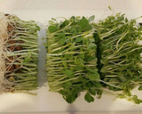 豆苗と玉ねぎのゴマ和え作り方1写真