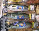 鯖の丸ごと酢締め作り方1写真