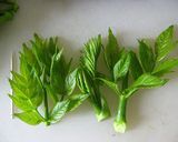 タラの芽の佃煮作り方2写真