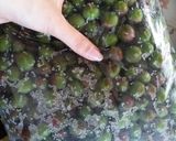 カリカリ梅の漬け方☆作り方5写真