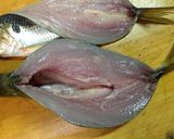 コノシロのねぎみそ詰め焼き作り方9写真