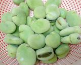 皮むき簡単！空豆のゆで方～しっかり塩味～作り方10写真