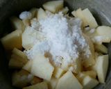 春巻きの皮で作ったアップルパイ作り方3写真