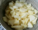 春巻きの皮で作ったアップルパイ作り方4写真