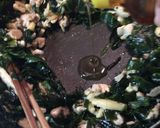 (ワカメとニラで)鶏肉の緑まみれ作り方5写真