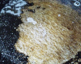 シメジのクリームチーズ炒め（栄養強化型）作り方2写真