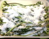 ワラビの塩漬け保存作り方2写真