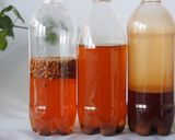 【万能中華調味料】山椒酒作り方8写真