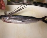 白身魚のムニエル(クリームソース)作り方4写真