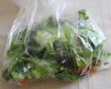 レタスと刻み昆布のサラダ作り方3写真