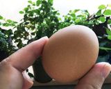 簡単！ピクルスでさっぱりタルタルソース☆作り方1写真