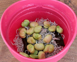 そら豆とちりめんじゃこの炊き込みごはん作り方4写真