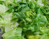 キュウリとレタスともやし新玉ねぎの酢の物作り方5写真