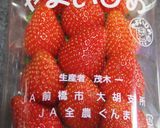 ストローで超かんたんないちごの飾り切り！作り方1写真