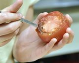 バーベキューにぴったり夏野菜肉詰め作り方1写真