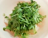 切って混ぜるだけ！サーモンと水菜のサラダ作り方2写真
