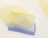 簡単☆ワンタンの皮で一口ウィンナー春巻き作り方4写真