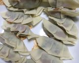 梅入り餃子作り方5写真