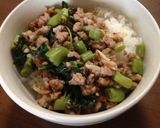 本場タイの味！番外編！つくおきガパオ作り方10写真