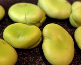 簡単！上海の味？そら豆の塩茹で作り方3写真