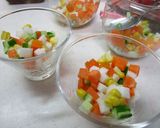 野菜のカラフル和風ゼリー作り方12写真
