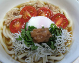 さっぱりと梅の冷やしぶっかけうどん♪作り方10写真