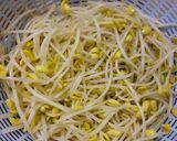カレー色の豆もやし♪作り方4写真