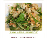 ささみと水菜のさっぱり梅サラダ作り方11写真