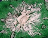 じーまーみ豆腐(沖縄のピーナッツ豆腐)作り方8写真