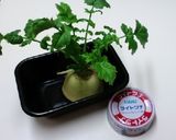 再生野菜【大根菜】のツナ炒飯作り方1写真