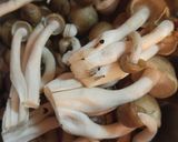 旨味の〜和風パスタ♪作り方3写真