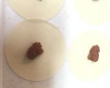 南高梅干し☆豆腐の水餃子作り方2写真