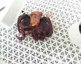 食品乾燥機で干しだこを作る方法作り方6写真